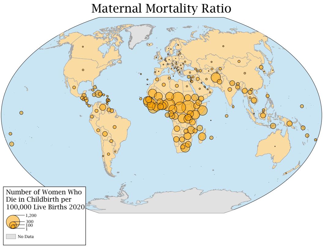 Maternal Mortality Map